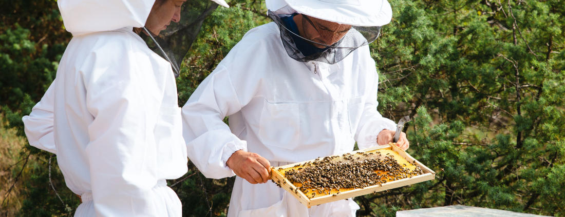 マヌカハニーは生ですか？完全ガイド – 養蜂家