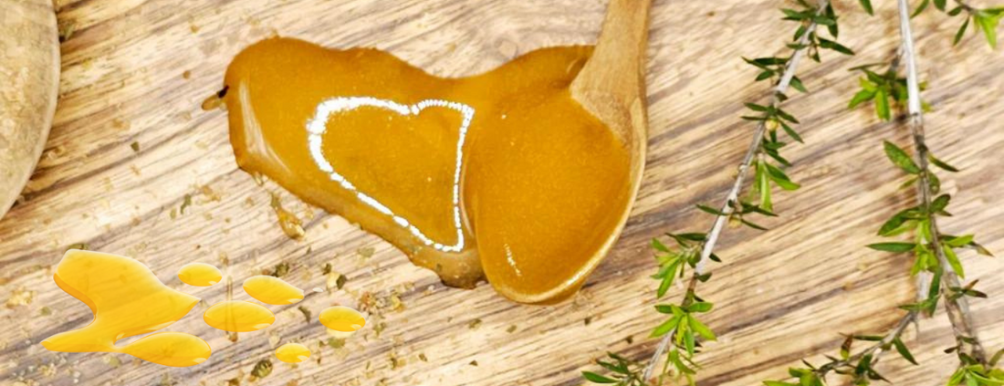 Is Manuka Honey Better Than Normal Honey? A Complete Guide